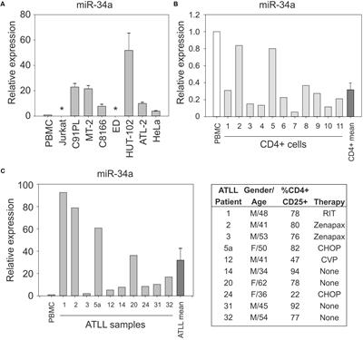 Expression of miR-34a in T-Cells Infected by Human T-Lymphotropic Virus 1